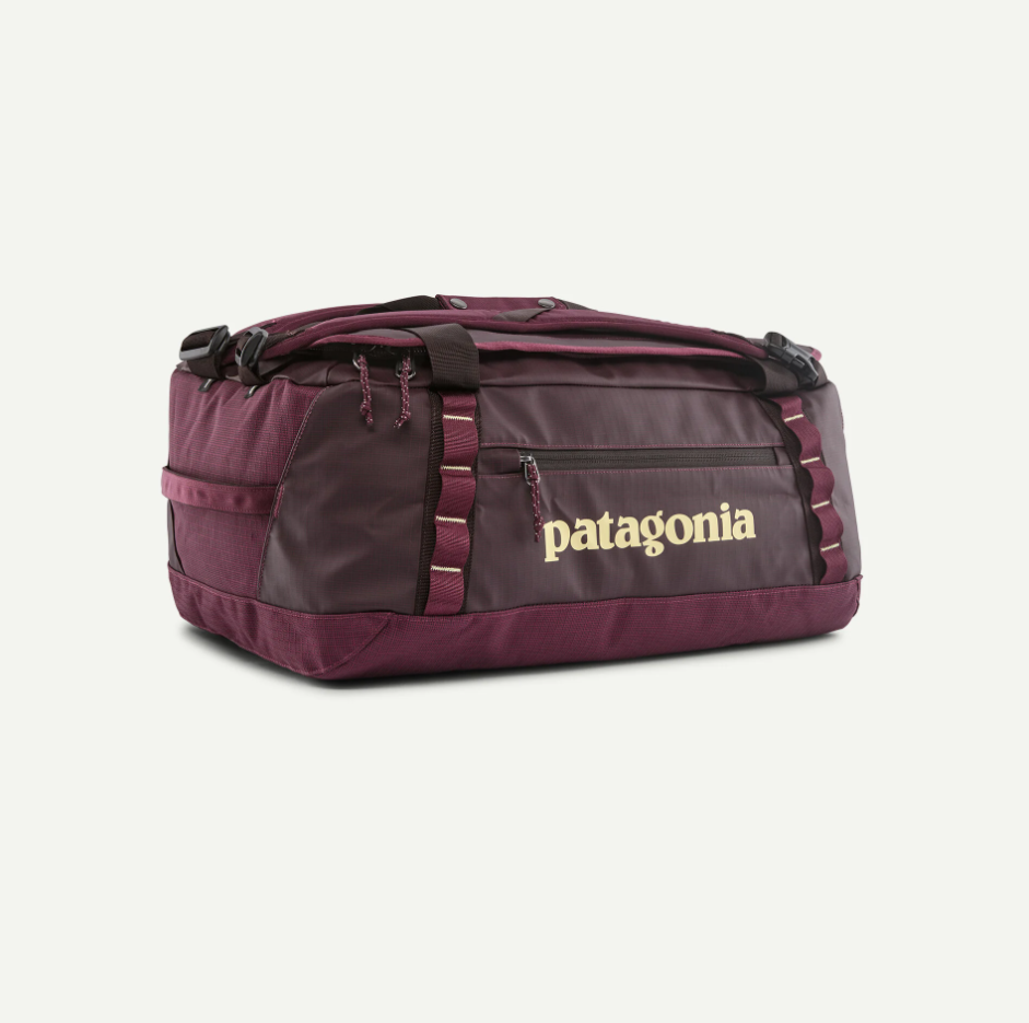 Patagonia Black Hole Duffel 40L