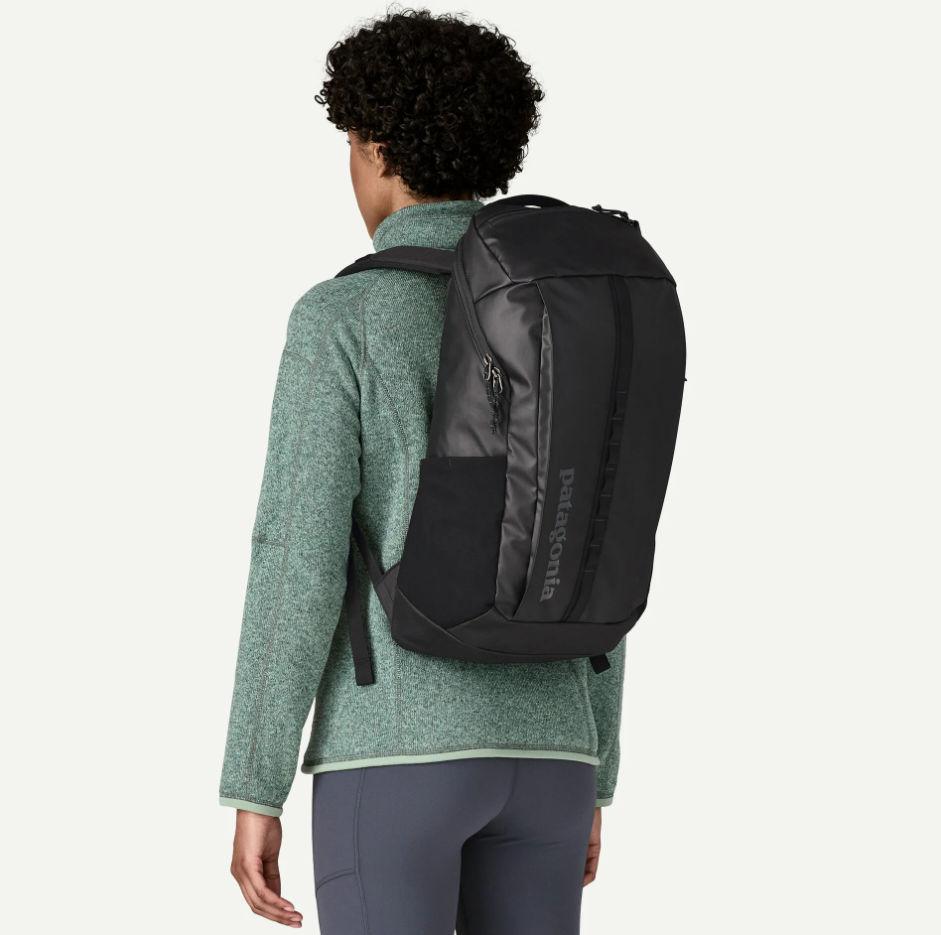 Patagonia Black Hole Pack 25L