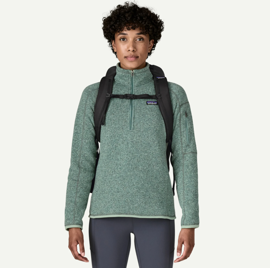Patagonia Black Hole Pack 25L