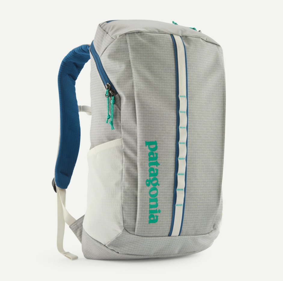 Patagonia Black Hole Pack 25L