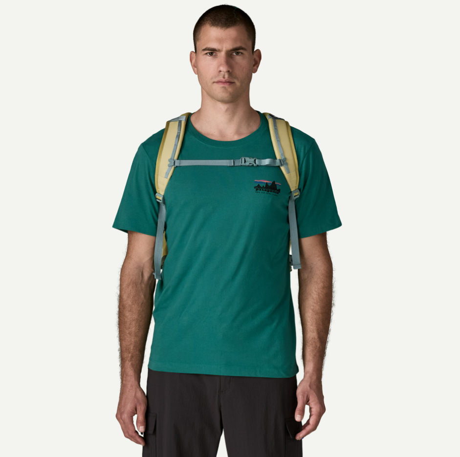 Patagonia Refugio Daypack 30L