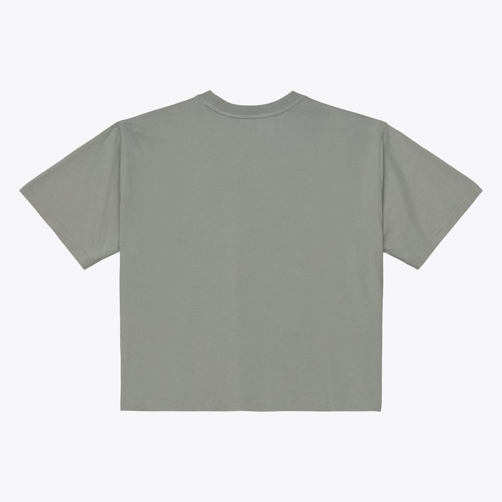  Miami Dolphins Mitchell & Ness Women's Street Graphic Boxy Cropped T-Shirt - Gray