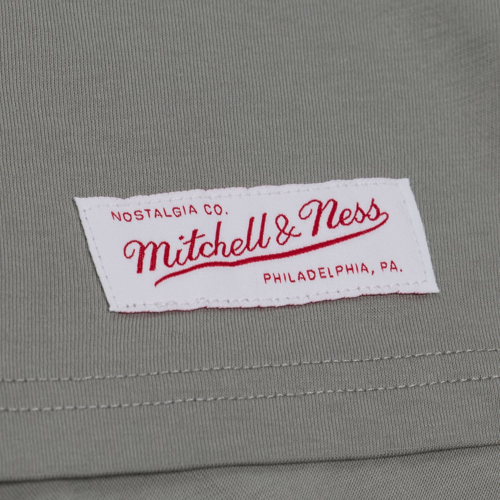  Miami Dolphins Mitchell & Ness Women's Street Graphic Boxy Cropped T-Shirt - Gray